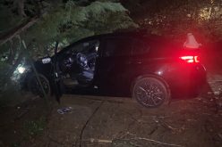 Party guest accused of burglarizing house after host left