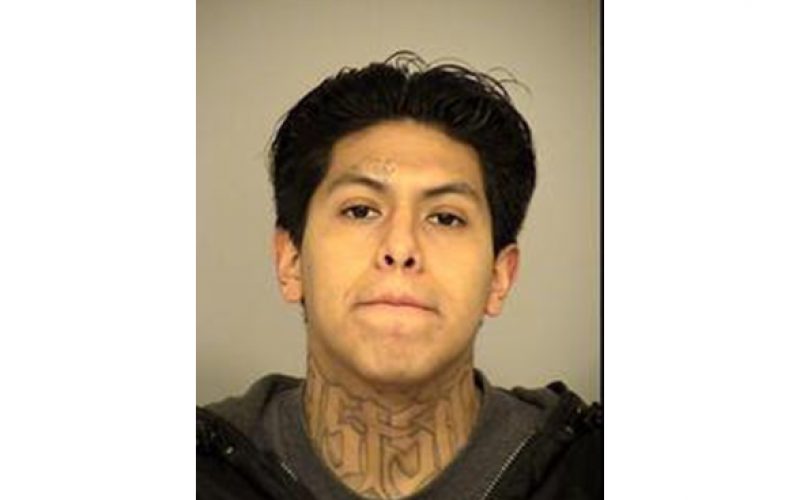 Gangster Trio Busted for Robbery