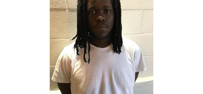 Man steals handgun, arrested the net day