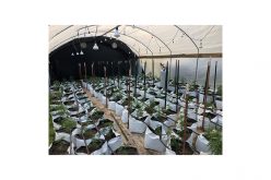 Man ‘shelters in place’ at grow site