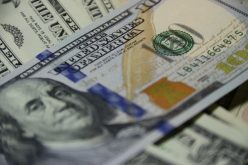CHP officer and K9 partner find nearly $1 million in cash dumped on Merced County road after police pursuit