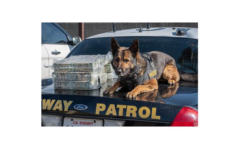 K9 Beny and his handler spot $600,000 in car