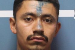 Man Arrested While Driving Stolen Forklift on Road