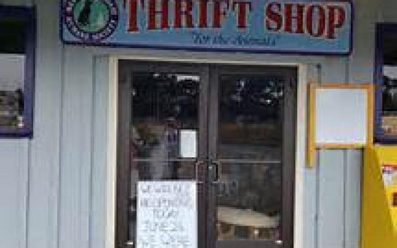 Man booked, released, for thrift store burglary