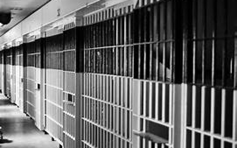 Man Detained for a Stolen License Plate Arrested on a Warrant for Burglary