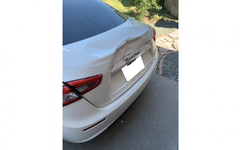Motorist allegedly retaliates against pedestrian by striking him and his dog with car