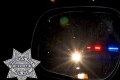 Black Honda and white Honda flee, one is caught
