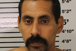 Police Arrest Four During Search for One Wanted Fugitive