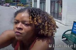 Once Bitten, Multiple Injuries to Bus Driver – “Drive, Bitch!” Female Suspect Arrested