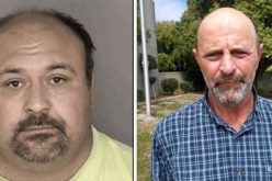 Two brothers arrested after firearms investigation