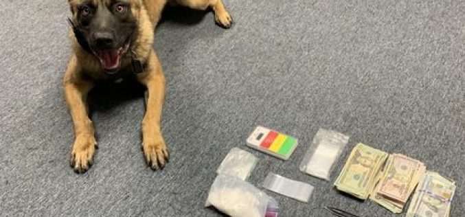 K-9 hard work leads to arrest