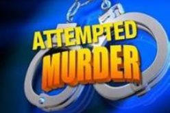 Attempted Murder, Assault, Street Gang Terrorism, Felon in Possession of Firearm, Ammo
