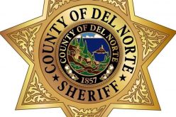 Undercover decoy helps catch would-be internet predator