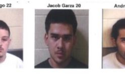 Three Arrested For Attempted Robbery