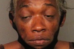 Heroin, meth, a gun and a seven-mile pursuit