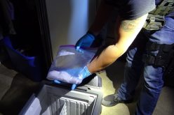 Marin County Major Crimes Task Force case leads to 10 year prison sentence