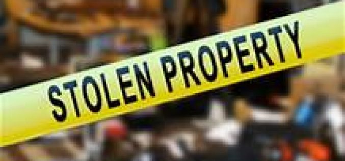 Male and two juveniles arrested for theft of property