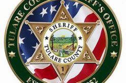 More Than A Dozen Predators Busted During “Operation Safe Teen”