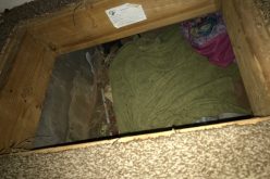 Missing West Point teen found; hidden “sleeping area” discovered underneath house