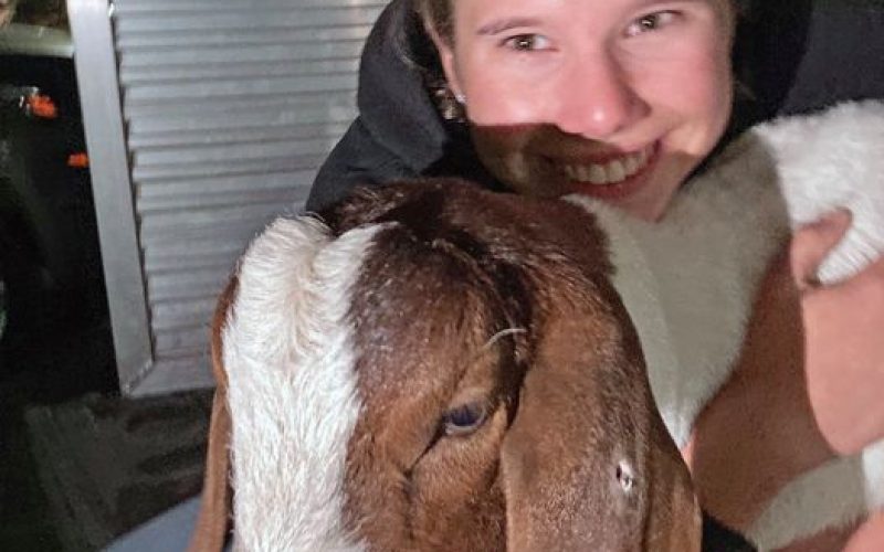 Animal Rights Activist Steals Goat