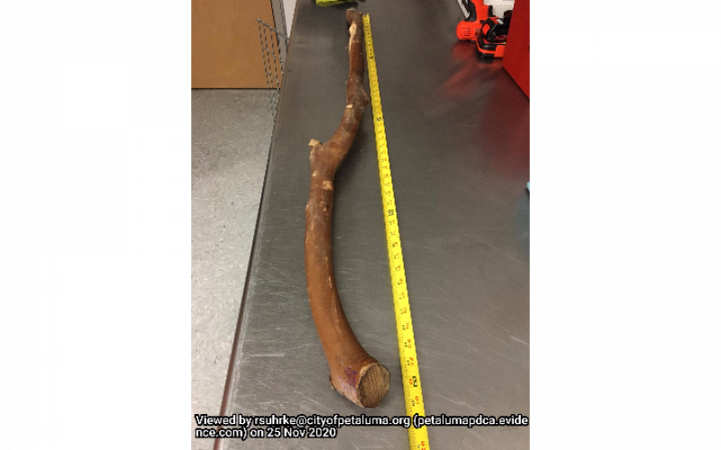 Assault w/ a Deadly Weapon, Hate Crime, and Elder Abuse