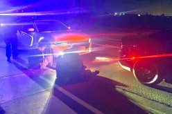 Gun in glove box accidentally shown to police