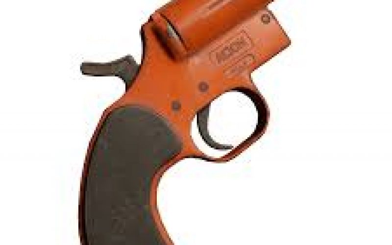 Man Faces 3 Felony Charges for Shooting a Woman with a Flare Gun