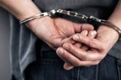 Parole violator takes up a fighting stance with deputies