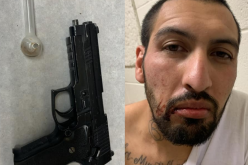 Long Car Chase Ends With K9 Officer Taking Down Suspect