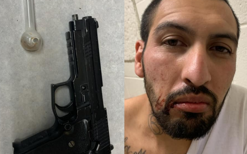 Long Car Chase Ends With K9 Officer Taking Down Suspect