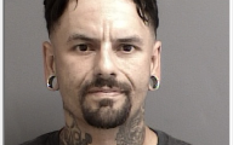 Parole check yields “numerous firearms and ammunition”