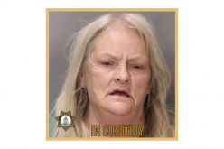 Rio Linda woman, 66, arrested on suspicion of murder