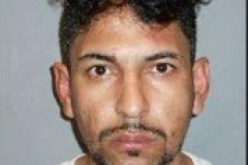 Surf Shop Burglar Bagged with Booty