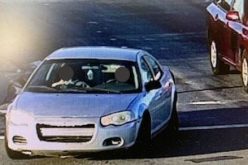 Violent Shoplifting: One Suspect Jailed, Second Suspect Released with a Citation