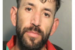 Stolen vehicle operation leads to multiple arrests