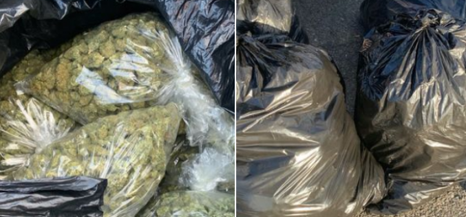 100 pounds of marijuana seized, two arrested