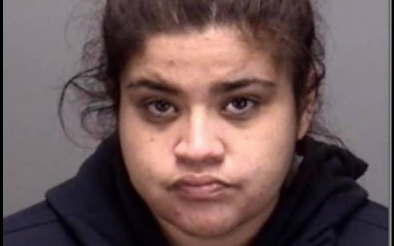 Suspect Arrested in Stolen Vehicle￼