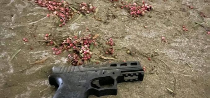 Adult and three juveniles in a car with a gun