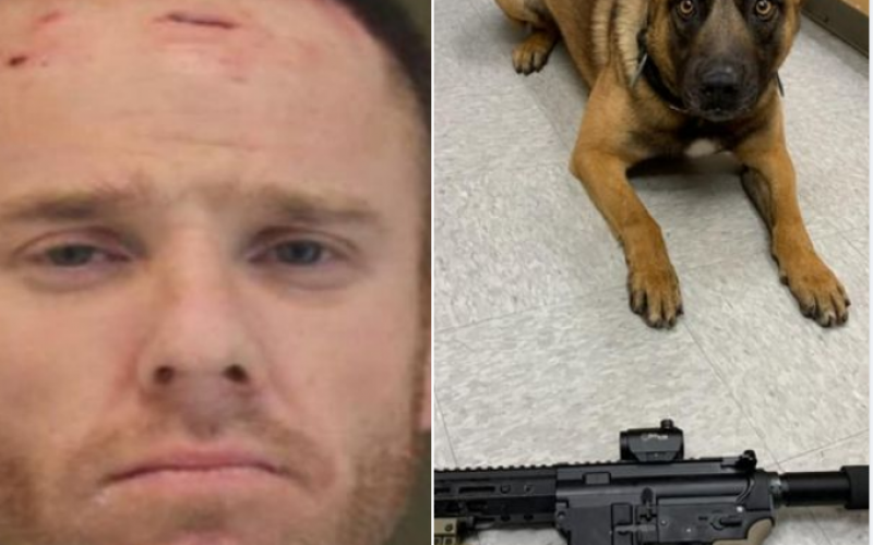 Fleeing suspect on parole had assault rifle