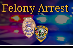 Stolen Vehicle Pursuit