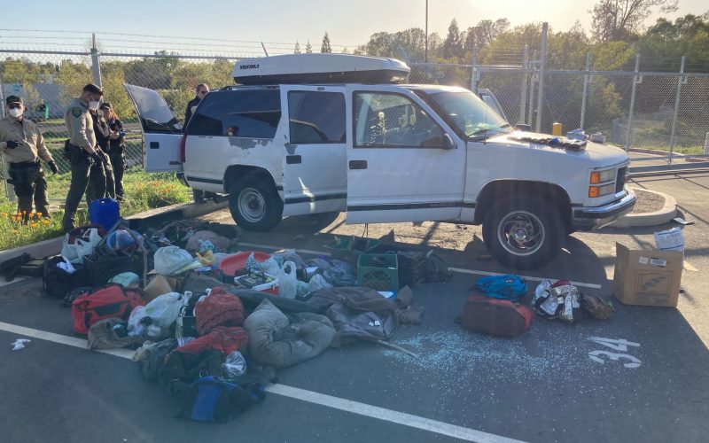 Man drives with 3 dead dogs in his truck