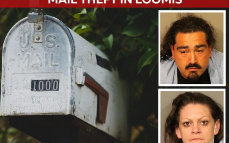 Pair with warrants arrested for multiple thefts