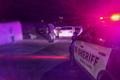 One arrested, one suspect at large in connection to alleged theft from inventory yard