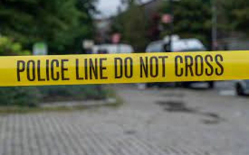 Arrested at the Border – Smuggling-Event Suspect Discovered Wanted for Homicide