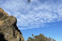 A Strong Swimmer Temporarily Escapes Arrest on West Marin Island