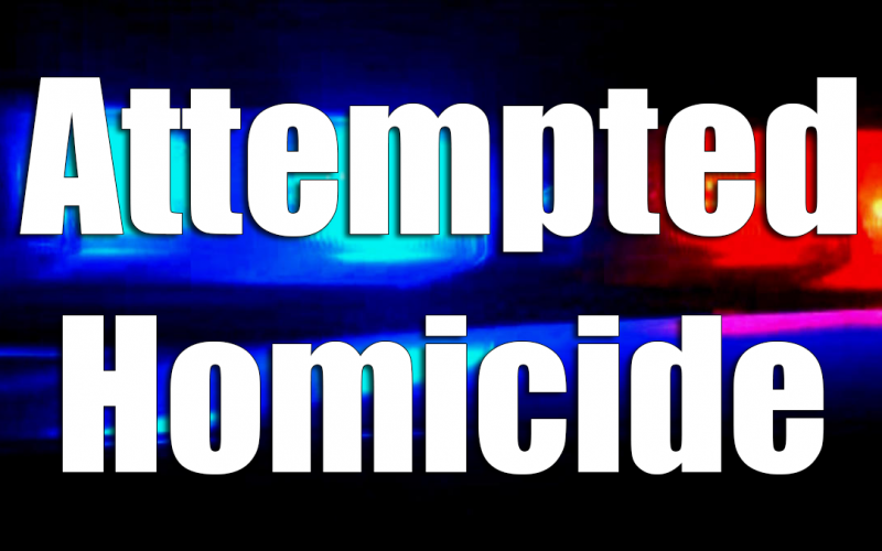 Attempted homicide suspect arrested