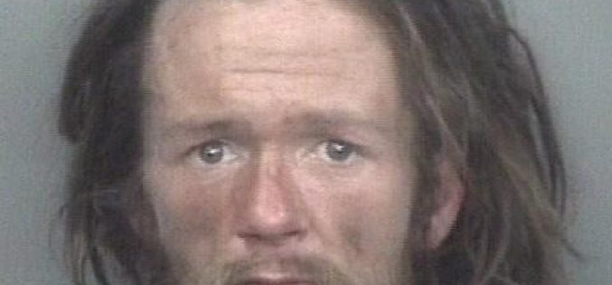 Arson suspect nabbed in Chico