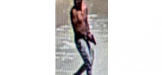 Man arrested in Monterey after allegedly brandishing pellet gun