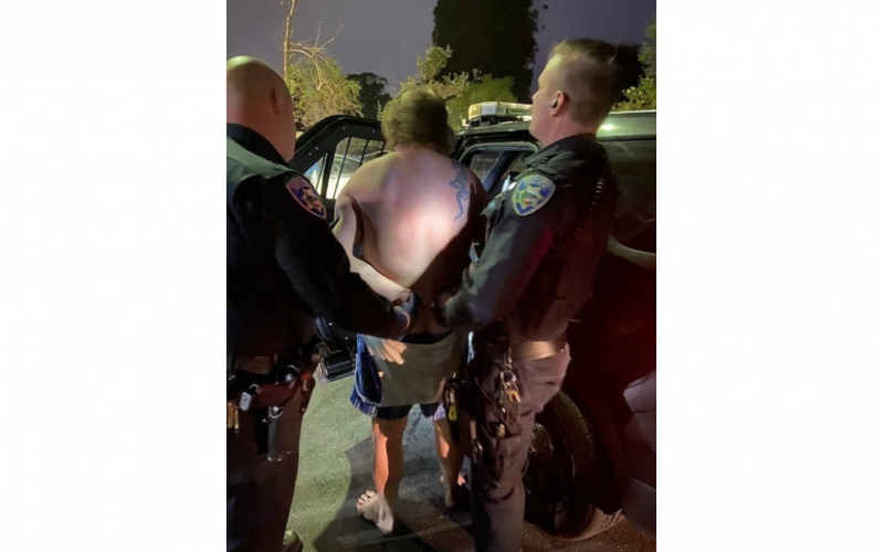 Man taken into custody after allegedly tearing car interior apart while under influence of narcotics