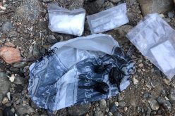 Five arrested near Weaver Creek on various charges